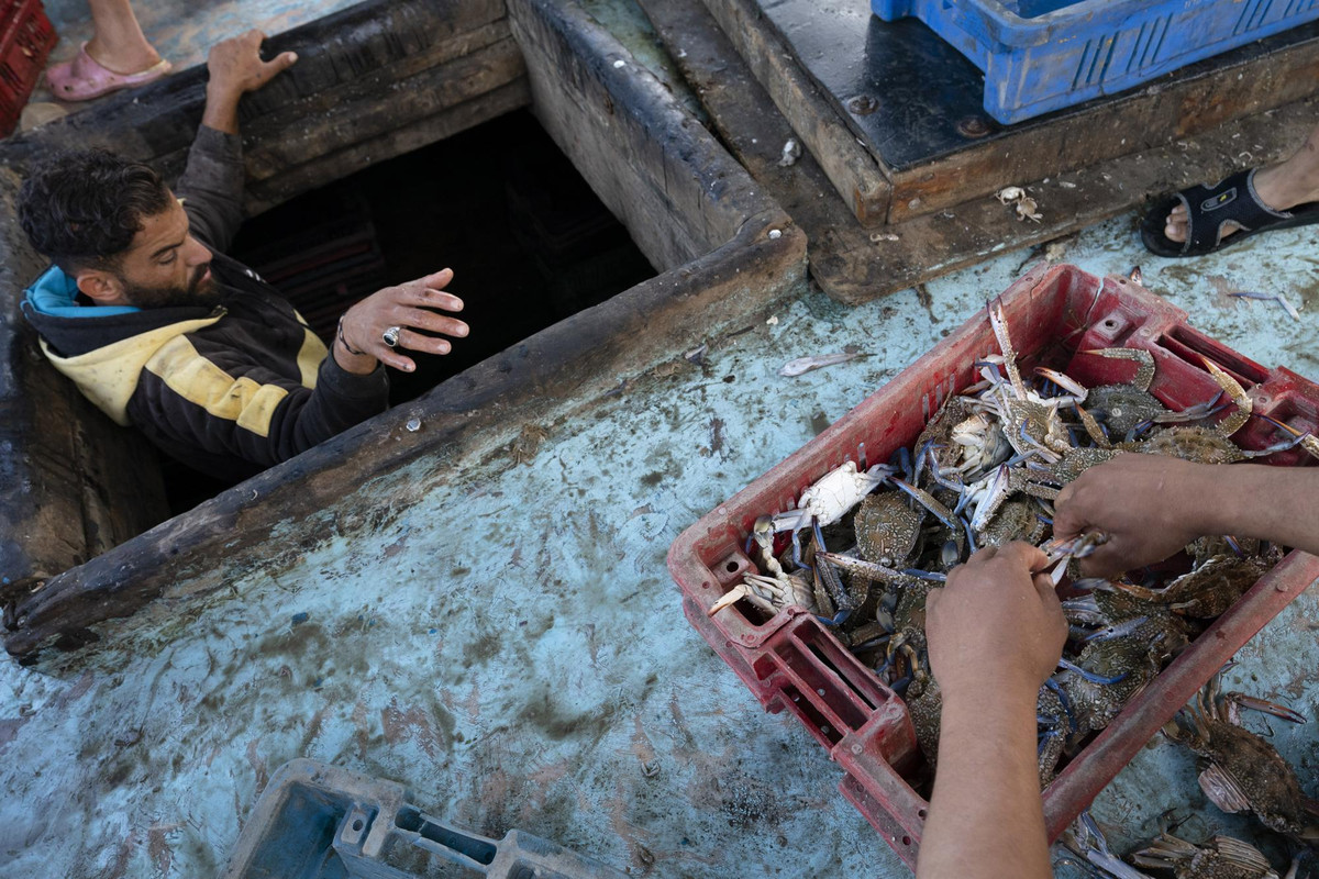 Việc người dân Gaza đánh bắt hải sản trở lại làm dấy lên hy vọng rằng lệnh ngừng bắn sẽ được duy trì.