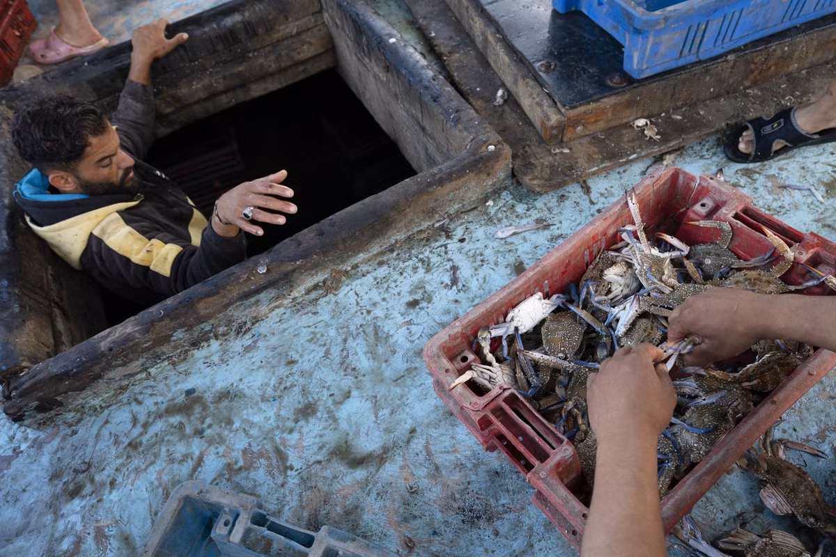 Việc người dân Gaza đánh bắt hải sản trở lại làm dấy lên hy vọng rằng lệnh ngừng bắn sẽ được duy trì.