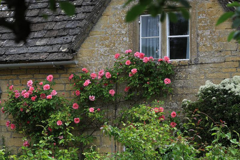 Những ngôi nhà phủ đầy hoa hồng khiến ai nhìn cũng mê - Hình 11 Nhung ngoi nha phu day hoa hong khien ai nhin cung me-Hinh-11