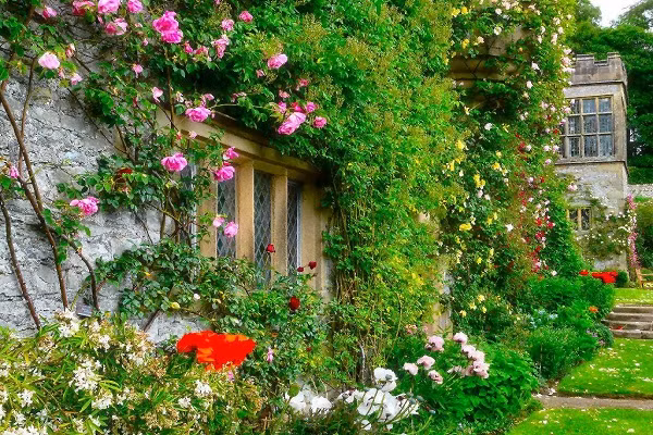 Nhung ngoi nha phu day hoa hong khien ai nhin cung me-Hinh-4