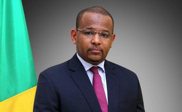 Sau khi tiến vào thủ đô, nhóm binh sĩ đã bắt giữ Bộ trưởng Bộ Tài chính Abdoulaye Daffe, Tham mưu trưởng Lực lượng Vệ binh Quốc gia, và Moussa Timbiné - phát ngôn viên của Quốc hội. Thủ tướng Boubou Cissé (ảnh) sau đó đã kêu gọi đối thoại với lực lượng nổi dậy nhưng không thành công. Ảnh: DW. 