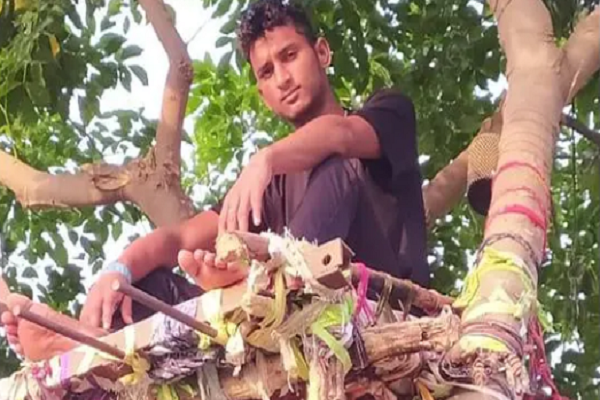 Nam sinh mac COVID-19 ke chuyen tu cach ly...tren cay