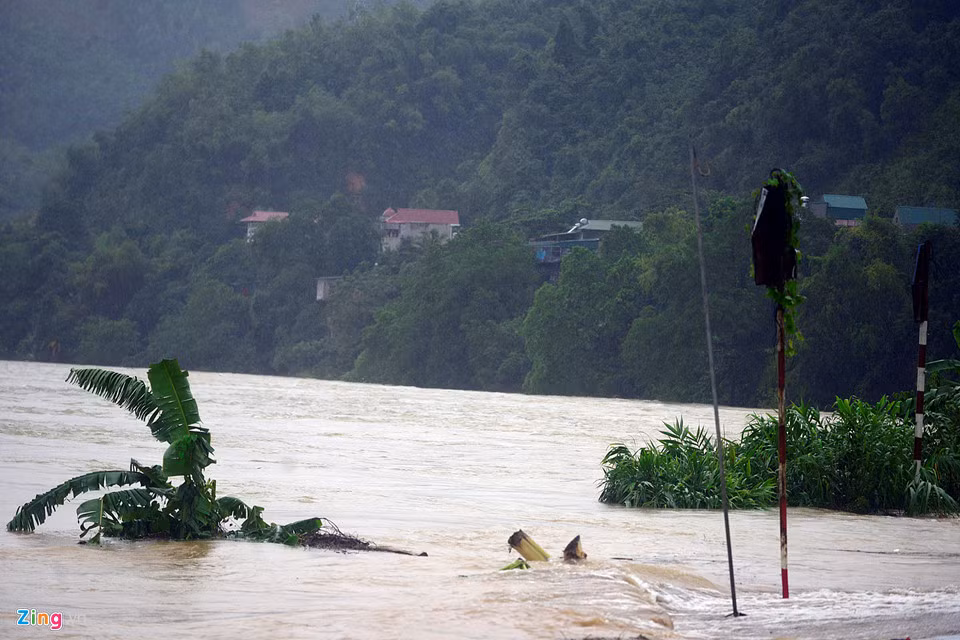 Nhiều hoa màu của người dân tại TP Hòa Bình, các huyện Kỳ Sơn, Cao Phong bị ngập úng. Nguồn ảnh: Zing