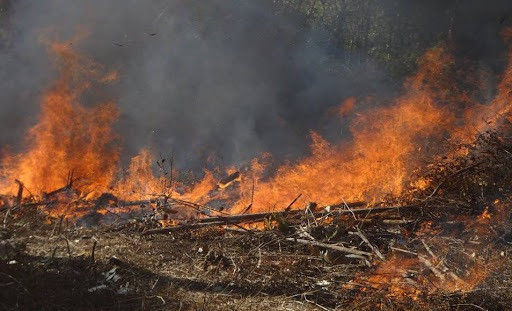 Vào rừng đốt thực bì, người đàn ông tử vong thương tâm Vao rung dot thuc bi, nguoi dan ong tu vong thuong tam
