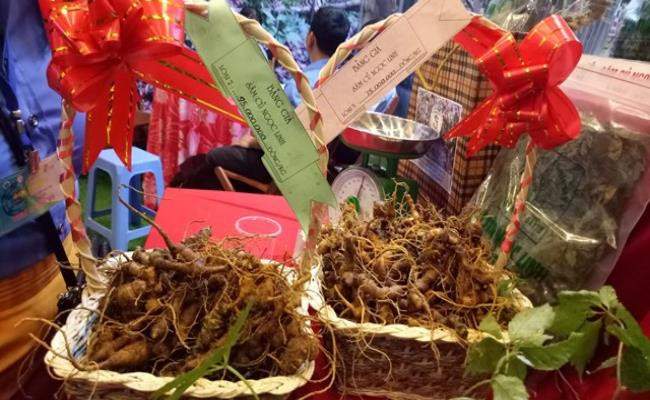 Sâm Ngọc Linh là một trong 5 loại sâm Việt “đình đám”. Vào dịp Tết, loại nhân sâm này được rất nhiều khách đặt mua để làm quà Tết. Mỗi kg sâm có giá 60-150 triệu đồng tùy loại. Đặc biệt với những củ lâu năm, nặng tầm 1kg có thể lên tới vài tỷ đồng, tuy nhiên những củ này khá hiếm.