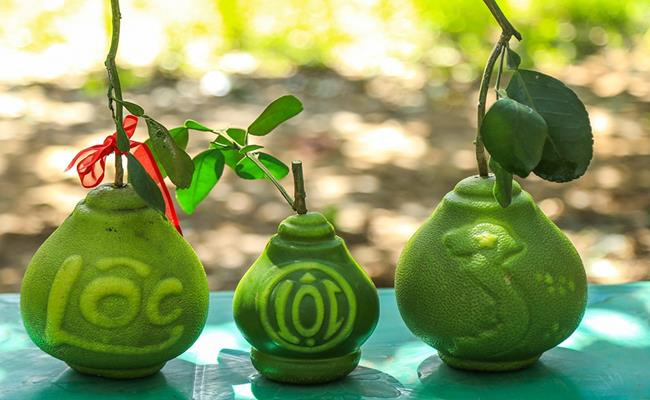 Bưởi hồ lô trong vài năm gần đây đã trở thành lựa chọn quà Tết quen thuộc của người Việt.So với năm trước, giá bưởi hồ lô nhích cao hơn từ 5-10%, tương đương mức tăng từ 100-200 nghìn đồng/quả. Mức giá sẽ có độ xê dịch tùy theo họa tiết được khắc. Loại bưởi khắc chữ có giá 1,2 triệu đồng, trong khi loại thường giá chỉ khoảng 700 nghìn đồng. Nếu các đại gia muốn sở hữu chùm bưởi hồ lô tứ quý (4 quả 1 chùm), mức giá sẽ lên đến cả chục triệu đồng.