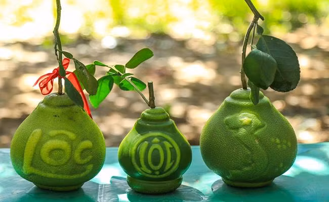 Bưởi hồ lô trong vài năm gần đây đã trở thành lựa chọn quà Tết quen thuộc của người Việt.So với năm trước, giá bưởi hồ lô nhích cao hơn từ 5-10%, tương đương mức tăng từ 100-200 nghìn đồng/quả. Mức giá sẽ có độ xê dịch tùy theo họa tiết được khắc. Loại bưởi khắc chữ có giá 1,2 triệu đồng, trong khi loại thường giá chỉ khoảng 700 nghìn đồng. Nếu các đại gia muốn sở hữu chùm bưởi hồ lô tứ quý (4 quả 1 chùm), mức giá sẽ lên đến cả chục triệu đồng.