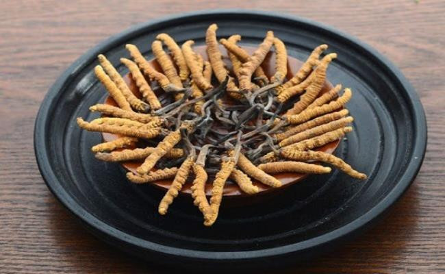 Hiện tại, loại đông trùng hạ thảo loại thượng hạng 20 gram được bán với giá 42 triệu đồng. Loại rẻ nhất là thực phẩm bổ sung giá 5,5 triệu đồng 5 gram.