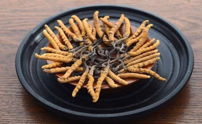 Hiện tại, loại đông trùng hạ thảo loại thượng hạng 20 gram được bán với giá 42 triệu đồng. Loại rẻ nhất là thực phẩm bổ sung giá 5,5 triệu đồng 5 gram.