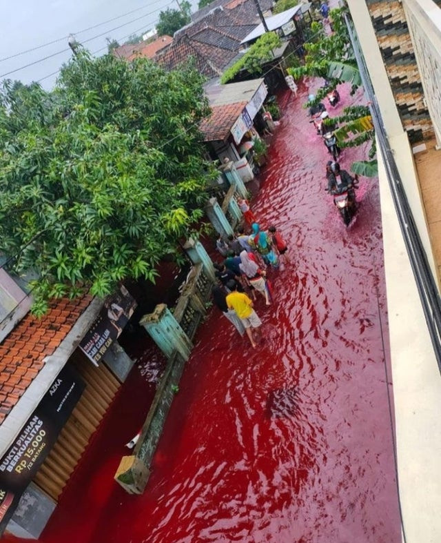 Một người dùng Twitter có tên tài khoản là Ayah E Arek-Arek nói: “Tôi rất sợ nếu bức ảnh này lọt vào tay kẻ xấu và phát tán trò lừa bịp. Câu chuyện có thể bị bóp méo thành đây là mưa máu, dấu hiệu của ngày tận thế". Ảnh: Twitter.