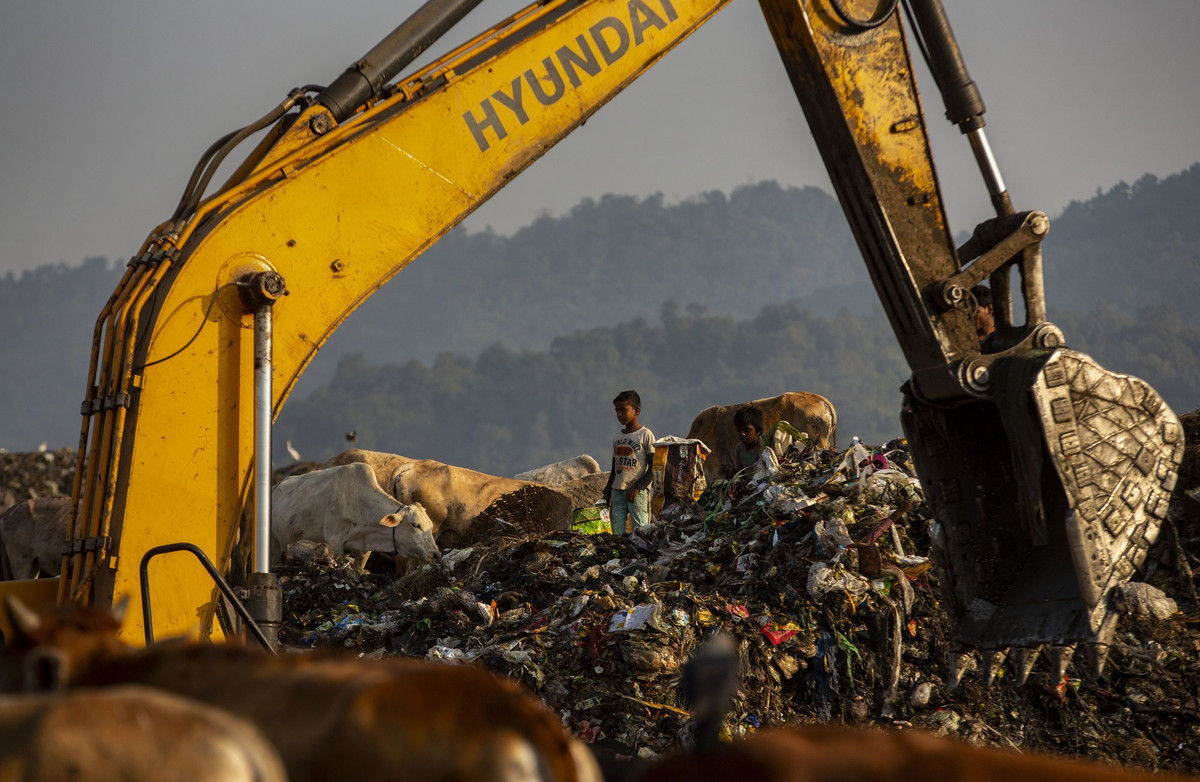 Ali kiếm được khoảng 1,3 USD mỗi ngày, và các thành viên còn lại trong gia đình mỗi người kiếm được khoảng 3,3 USD.