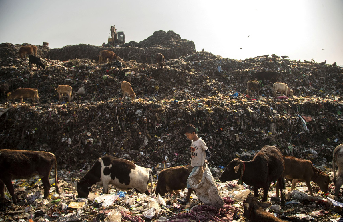 Cả gia đình Ali, gồm cha mẹ và anh trai của cậu, đều làm nghề nhặt phế liệu để kiếm sống. Ali bắt đầu công việc này từ hơn một năm trước để phụ giúp gia đình.