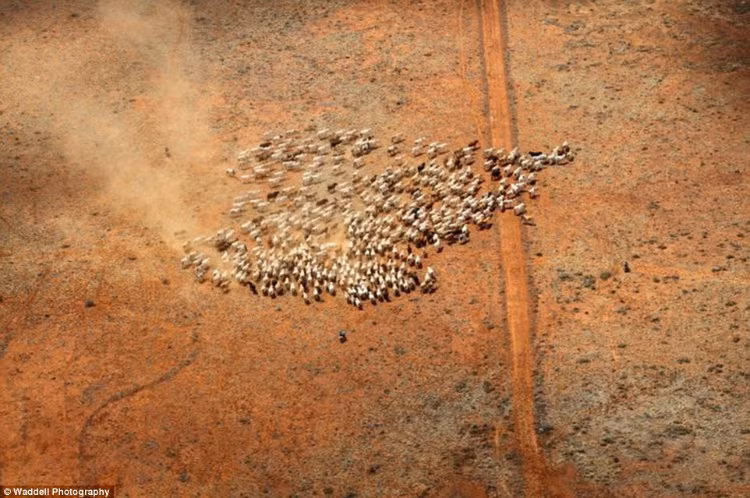 Tham 10 vung dat dac biet nhat the gioi an chua dieu ky la-Hinh-3