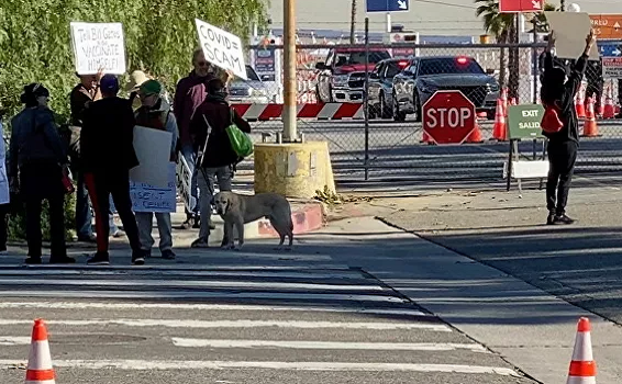 Những người biểu tình phản đối việc tiêm vắc xin, mang theo biểu ngữ và gọi đại dịch (COVID-19) là "trò lừa đảo". Ảnh: Twitter.