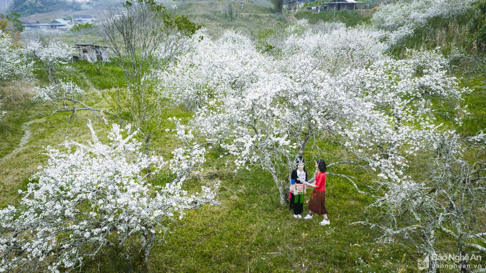 Du khách dễ trở nên yếu mềm trước khung cảnh này. Ảnh: Hồ Nhật Thanh.