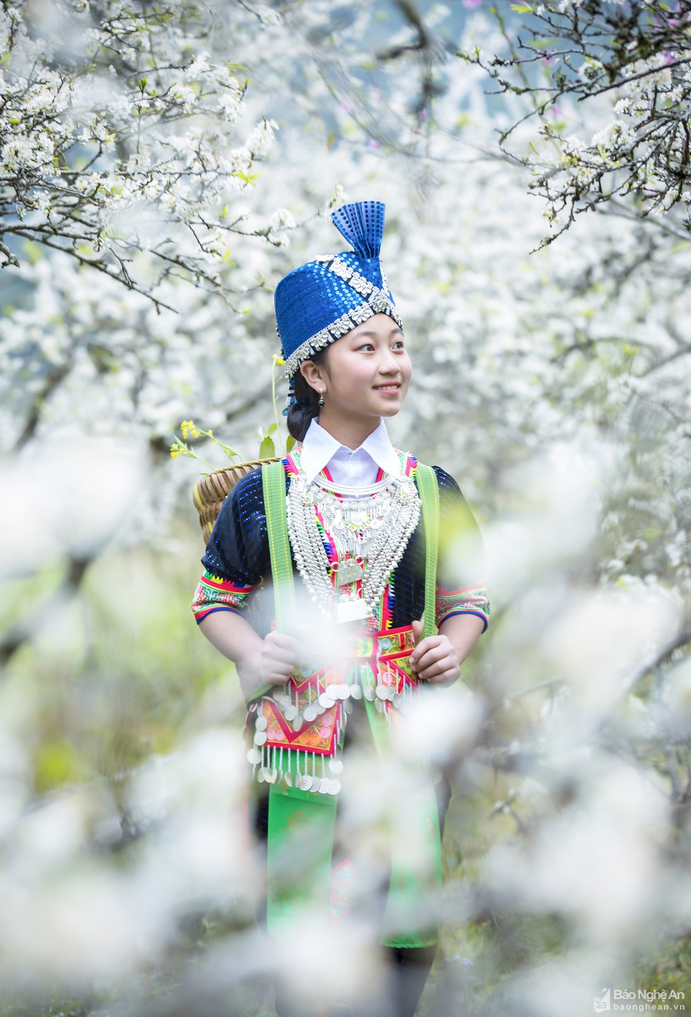 Lạc giữa rừng xuân. Ảnh: Sách Nguyễn.