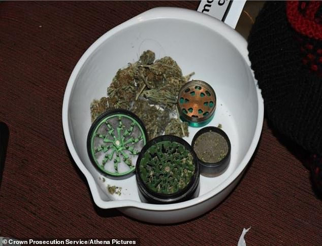 Madog nói rằng anh ta "vô tình" giết chết Lauren và đã sử dụng một loại thuốc gây ảo giác và thuốc lắc trước khi tấn công nạn nhân.