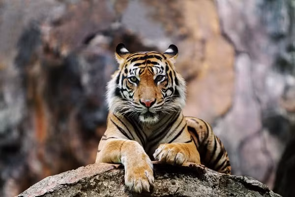 Hai hung nhan vien so thu bi ho vo chet