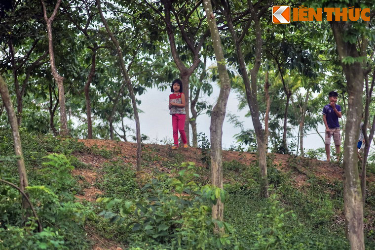 Căn cứ trên các vết tích, giới khoa học xác định thành có 3 vòng. Vòng ngoài chu vi 8 km, vòng giữa 6,5 km, vòng trong 1,6 km. Trong đó, vòng thành nội có thể đã được làm về sau, thời Ngô Quyền.