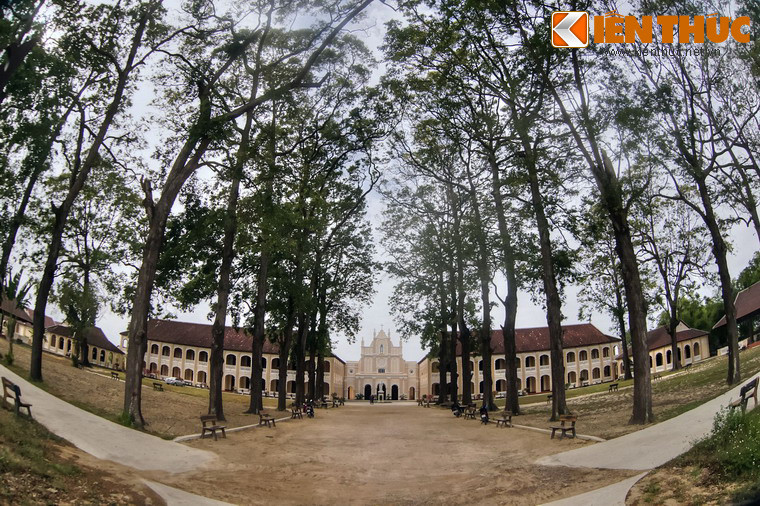 Ấn tượng đầu tiên về Tiểu Chủng viện Làng Sông là một khuôn viên rộng thênh thang với những hàng cây sao cổ thụ có tuổi đời hàng trăm năm, được trồng thành lối, tạo nên một cảnh quan tươi mát và thanh bình.