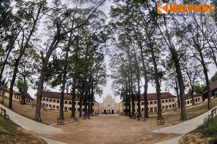 Ấn tượng đầu tiên về Tiểu Chủng viện Làng Sông là một khuôn viên rộng thênh thang với những hàng cây sao cổ thụ có tuổi đời hàng trăm năm, được trồng thành lối, tạo nên một cảnh quan tươi mát và thanh bình.