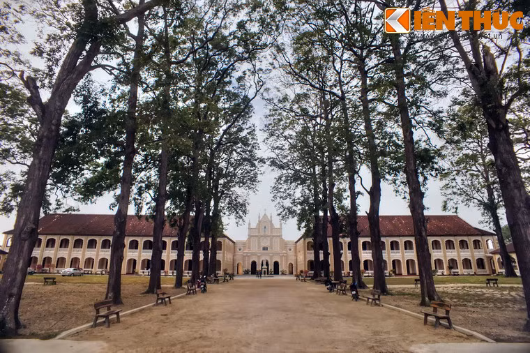 Trong cơ cấu tổ chức của giáo hội Công giáo, chủng viện (seminarium) là nơi đào tạo các chủng sinh, tu sĩ Công giáo trở thành linh mục. Tiểu chủng viện là nơi nội trú dành cho các tiểu chủng sinh chuẩn bị bước vào đại chủng viện, thường được coi như là một trường trung học nội trú.