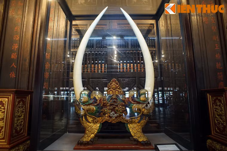 Cặp ngà voi này dài khoảng 1,2m, dáng cân đối với độ cong đồng đều, được cắm vào giá gỗ để sử dụng làm vật trang trí trong cung điện của các vua nhà Nguyễn. Đây là cặp ngà voi cổ lớn nhất nhì Việt Nam.