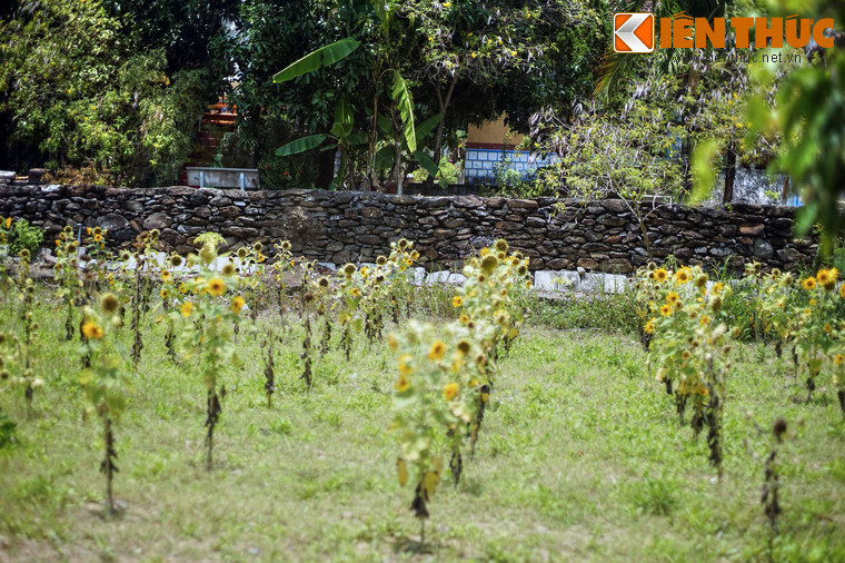 Việc xây dựng một công trình đồ sộ trên địa hình núi non hiểm trở như vậy có thể coi là một kỳ công của người xưa.