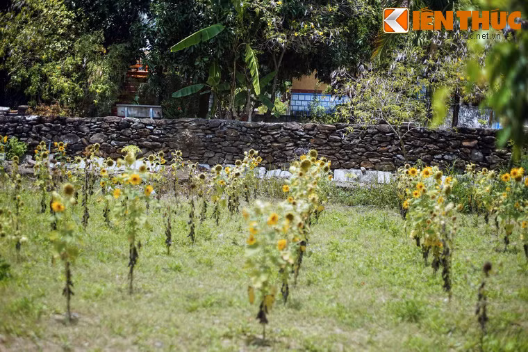 Việc xây dựng một công trình đồ sộ trên địa hình núi non hiểm trở như vậy có thể coi là một kỳ công của người xưa.