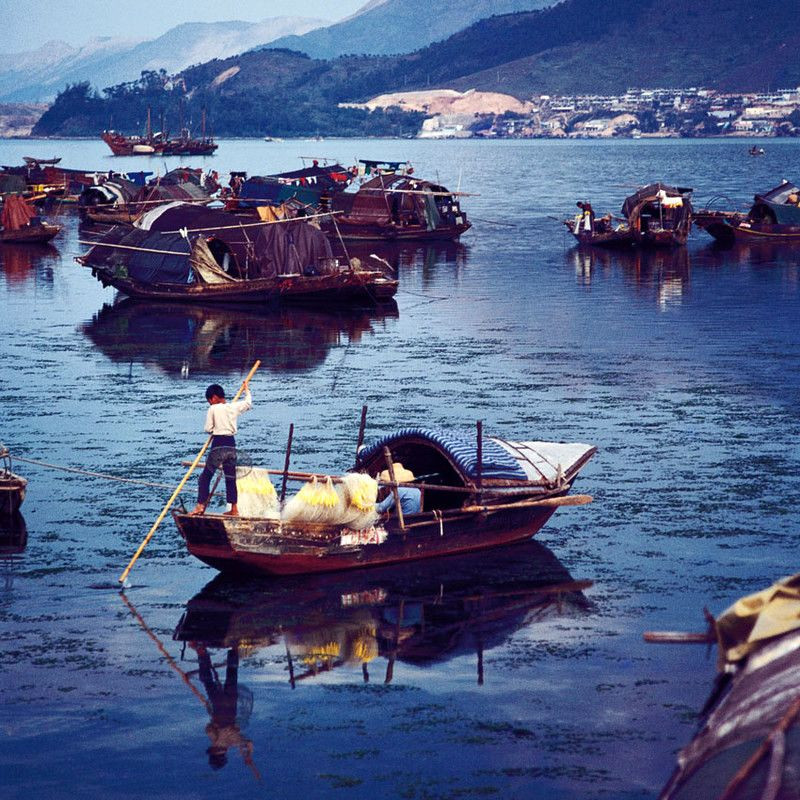 Khung cảnh ở Tai Po Kau, 1978. Ảnh: Keith Macgregor.