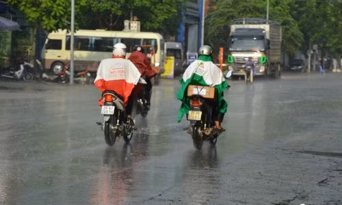 "Mua vang" trut xuong Ha Noi sau nhung ngay nang nong khung khiep-Hinh-2