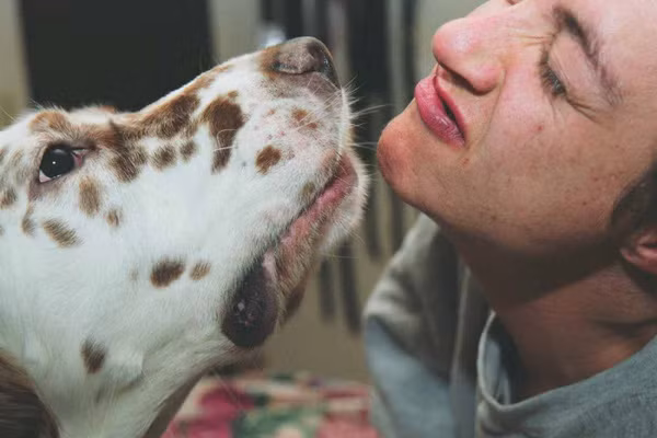 Tiểu bang Oklahoma của Mỹ cấm làm mặt xấu với chó. Nếu vi phạm điều cấm khó tin này thì bạn sẽ phải nộp phạt, thậm chí bị phạt tù.