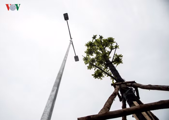 Dự án được trang bị hệ thống bóng đèn hiện đại.