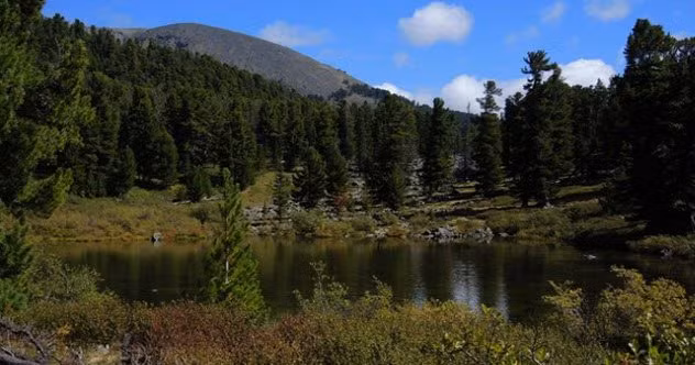 Nhiều đoàn thám hiểm đã đến vùng núi Khentii để tìm kiếm mộ của hoàng đế này. Tuy nhiên, nhiều người tham gia dự án tìm mộ của Thành Cát Tư Hãn gặp phải bất hạnh khiến một số người nghi ngờ là do lời nguyền từ lăng mộ của hoàng đế Mông Cổ vang danh sử sách này.