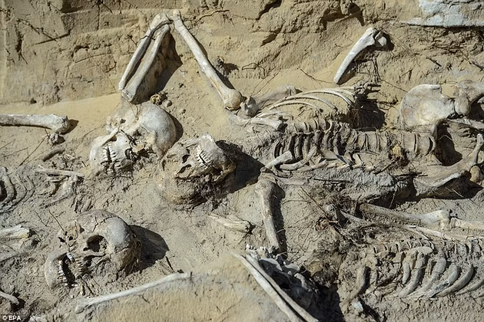 Nhiều binh lính Nga đang trên đường vận chuyển khối hàng hóa trị giá lên tới 200.000 rúp (khoảng 2.500 bảng Anh) thì bị lực lượng Ba Lan bắt và giết chết.