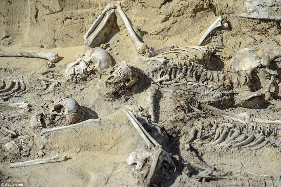 Hàng chục bộ xương này gắn với sự kiện cuộc chiến Trận Zyrzyn ác liệt năm xưa.