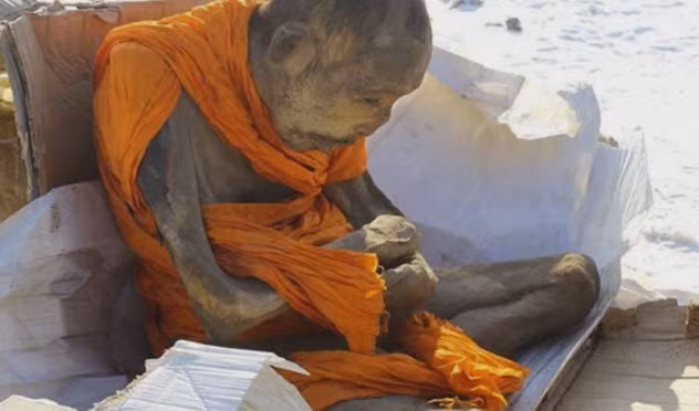 Quá trình tự ướp xác của các nhà sư trải qua nhiều bước nghiêm ngặt và đau đớn trong 3.000 ngày. Trong 1.000 ngày đầu tiên, nhà sư chỉ ăn hạt và trái cây, thực hiện nhiều hoạt động thể chất để loại chất béo ra khỏi cơ thể.