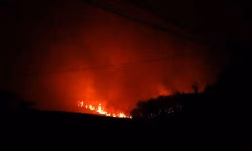 Ha Noi: Chay rung phong ho o Soc Son, phai so tan dan