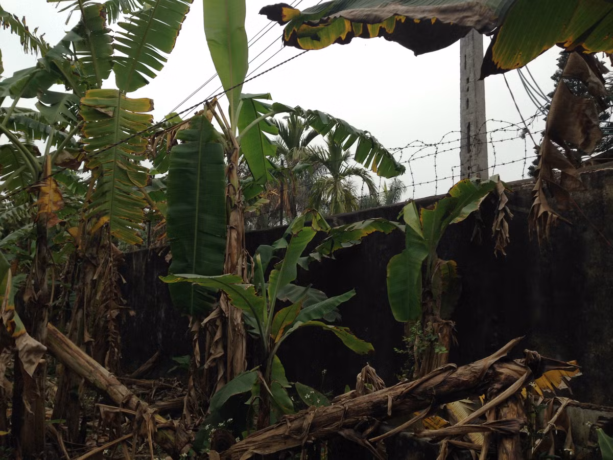 Quan sát của PV Kiến Thức, khu trại tạm giam Công an tỉnh Hải Dương nằm ven đê trên địa bàn xã Đồng Lạc, xung quanh trại giam, ngoài hệ thống tường quây xây cao, còn có hệ thống dây thép gai. Ngoài cổng ra vào trại giam luôn có trực ban túc trực.