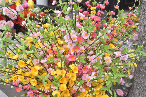 Hoa giả: Các nhà tâm linh cho rằng, không nên dâng chậu hoa cảnh hay hoa nhựa, hoa giả lên ban thờ vì kém trang nhã, tươi mát. Ngoài ra, hoa cúng là biểu hiện tấm lòng, do đó không nên dùng lễ giả để biểu thị tấm lòng chân thật. Dù đồ giả tuy không mất trang nghiêm, bất kính, hay có lỗi, nhưng chỉ nên trưng ngày thường, còn rằm tháng bảy, các tiết lễ Tết, sóc, vọng thì nên dâng cúng hoa tươi, có hương thơm.