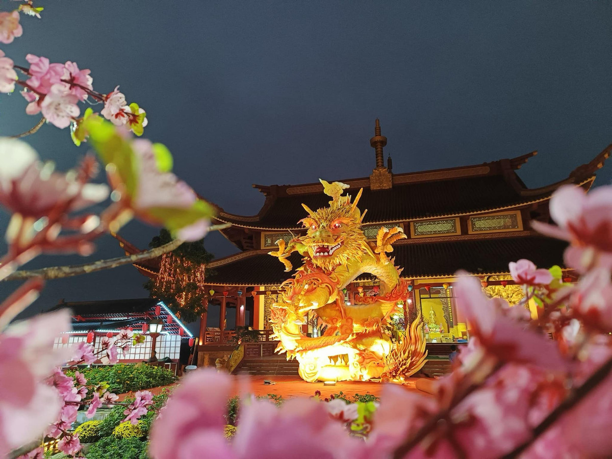 Trao đổi với PV, thầy Thích Hạnh Minh - Trụ trì chùa Phổ Độ cho biết: “Tết Nguyên đán 2024 là năm Giáp Thìn nên nhà chùa lên ý tưởng và thuê thợ làm linh vật rồng đặt ở sân chầu. Rồng tượng trưng cho sức mạnh, trí tuệ và sự may mắn. Còn trong các văn bản Phật giáo, rồng thường được miêu tả như một vị thần bảo vệ Phật pháp và những lời dạy của Đức Phật…”.Đã có nhiều du khách tới chiêm bái, ghi lại những khoảnh khắc đẹp từ linh vật này.