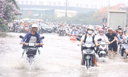 Mien Bac co mua rao va dong,de phong to loc, gio giat manh