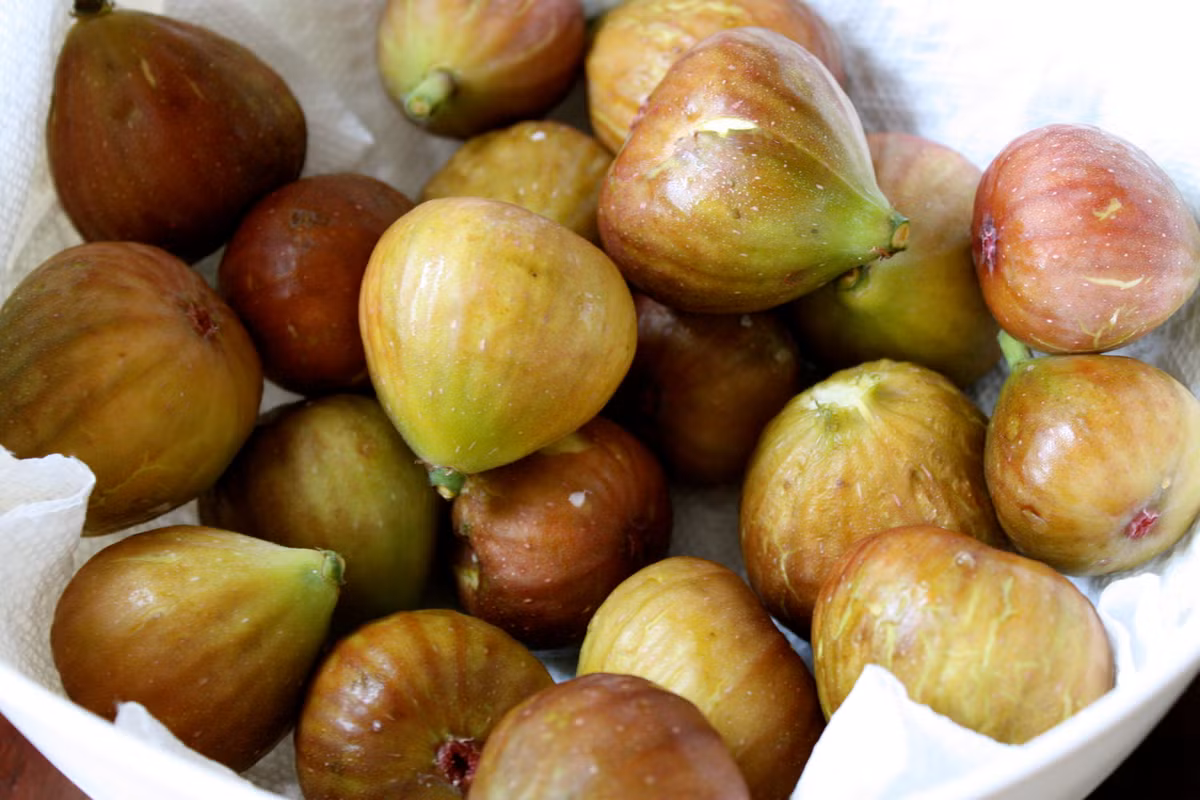 Những nghiên cứu gần đây đã bước đầu hé lộ tác động của chiết suất vả lên các tế bào ung thư não. Theo đó, chiết suất này sẽ khiến tế bào ung thư não phát triển chậm lại tới 75%.