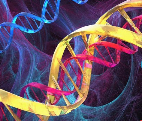 Bệnh Huntington là căn bệnh mang tính di truyền, gây ảnh hưởng đến nhận thức hành vi và việc di chuyển của người bệnh. Các triệu chứng thường gặp như suy giảm trí nhớ, thay đổi tâm trạng, và nói năng khó khăn.