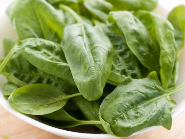 Rau bina cũng là thực phẩm chứa nhiều beta carotene và vitamin C, lutein và zeaxanthin. Ăn thực phẩm chứa các chất này giúp làm tăng mật độ sắc tố ở điểm vàng và lá chắn mắt bạn khỏi bị tổn thương do ánh nắng mặt trời và ánh sáng màu xanh, đó là hữu ích trong việc ngăn ngừa thoái hóa điểm vàng. Ảnh: Theo Boldsky