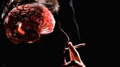 Hệ thần kinh trung ương. Nicotin, một trong những thành phần có trong thuốc lá là chất làm thay đổi tâm trạng. Sau khi được sử dụng, chất này sẽ truyền tới não trong vài giây. Nó kích thích hệ thần kinh trung ương và khiến bạn cảm thấy tràn đầy sinh lực. Khi hiệu ứng này lắng xuống, bạn sẽ cảm thấy mệt mỏi và thèm hơn. Dần dần sẽ dẫn đến nghiện. Ảnh: Dân Trí