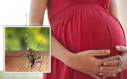 83 nguoi o TP HCM nhiem zika