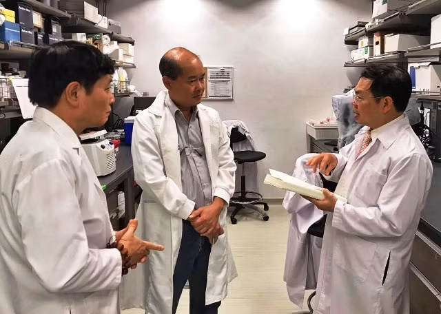 Hiện tại, GS. BS Phan Toàn Thắng và các cộng sự đang vận hành một phòng thí nghiệm tại Đại học quốc gia Singapore và tiếp tục nghiên cứu sâu hơn về tế bào gốc.