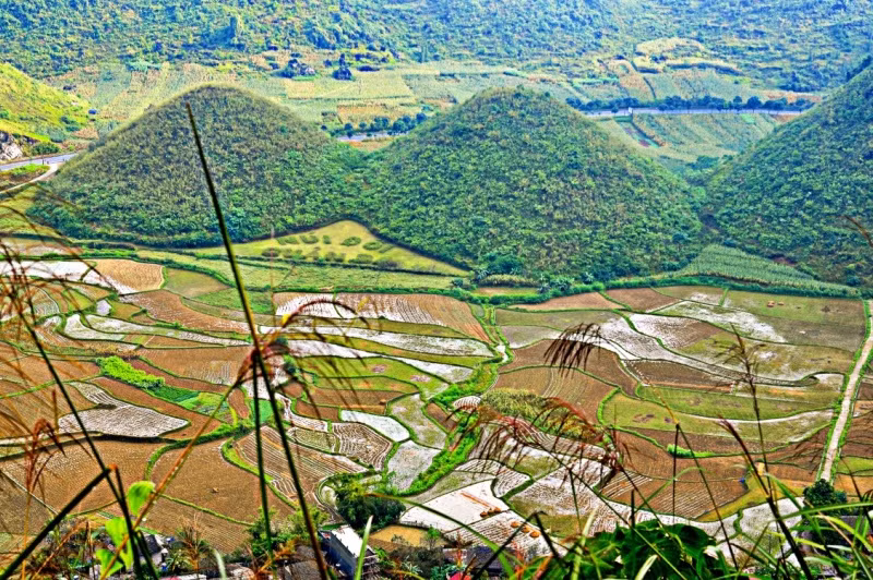 Núi Đôi hiện ra như bầu ngực căng tròn của người thiếu nữ đang tuổi xuân thì tràn đầy sức sống. Ngọn núi ấy càng đẹp hơn khi được tô điểm bởi những thửa ruộng bậc thang.