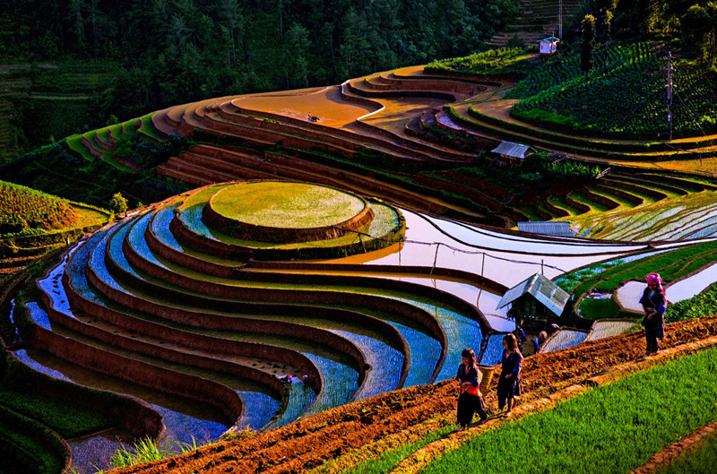 Mù Cang Chải còn nổi tiếng bởi ruộng bậc thang với tổng diện tích 330 ha phân bố chủ yếu trên 3 xã Chế Cu Nha, La Pán Tẩn và Dế Su Phình. Những thửa ruộng bậc thang đẹp tựa vân tay của trời, một công trình kiến trúc nghệ thuật mang đầy tính sáng tạo của đồng bào Mông.